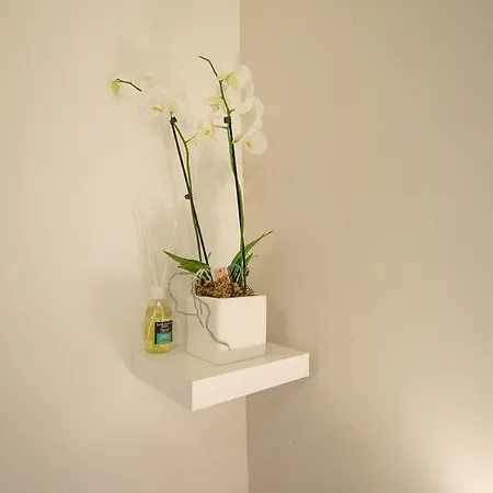 Lorenzo's Art 2 - Via Tribunali Apartamento