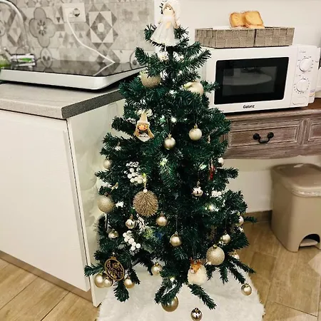 Lorenzo's Art 2 - Via Tribunali *