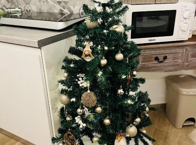 Lorenzo's Art 2 - Via Tribunali *